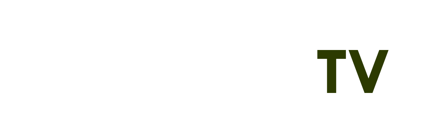phá trinh việt nam